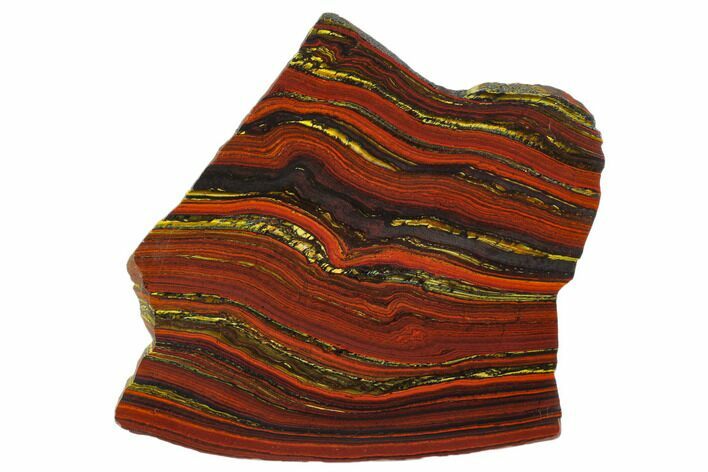 Polished Tiger Iron Stromatolite - Billion Years #129218